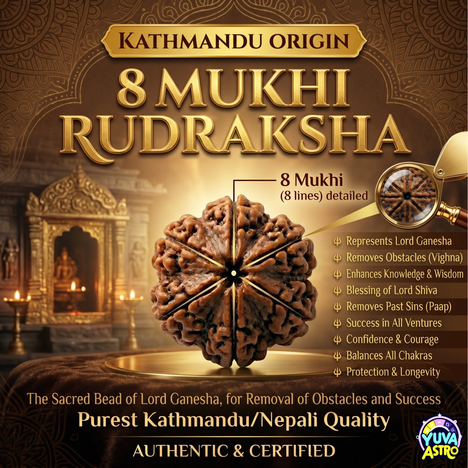 Kathmandu Origin 13 Mukhi Rudraksha