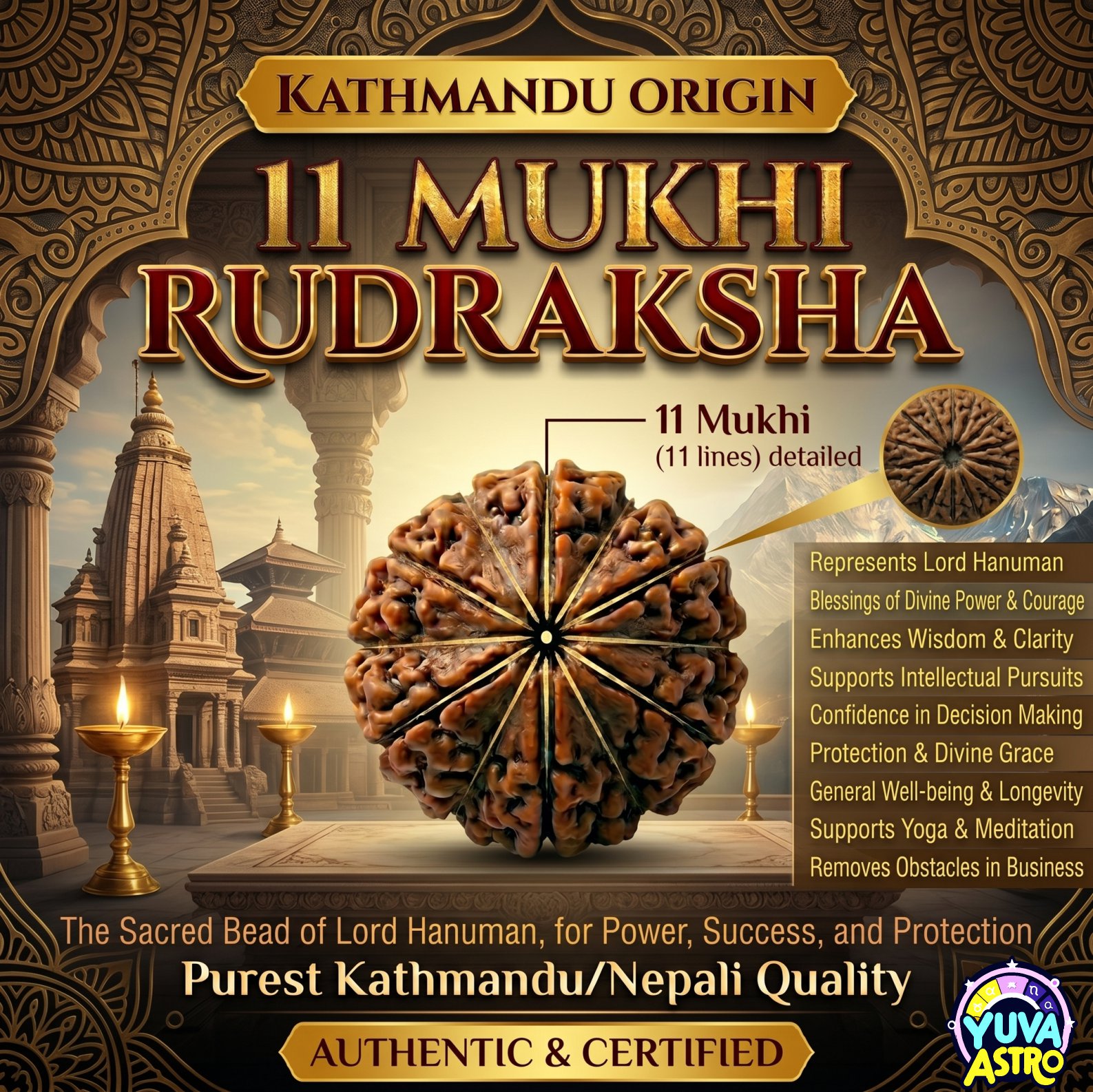 Kathmandu Origin 11 Mukhi Rudraksha