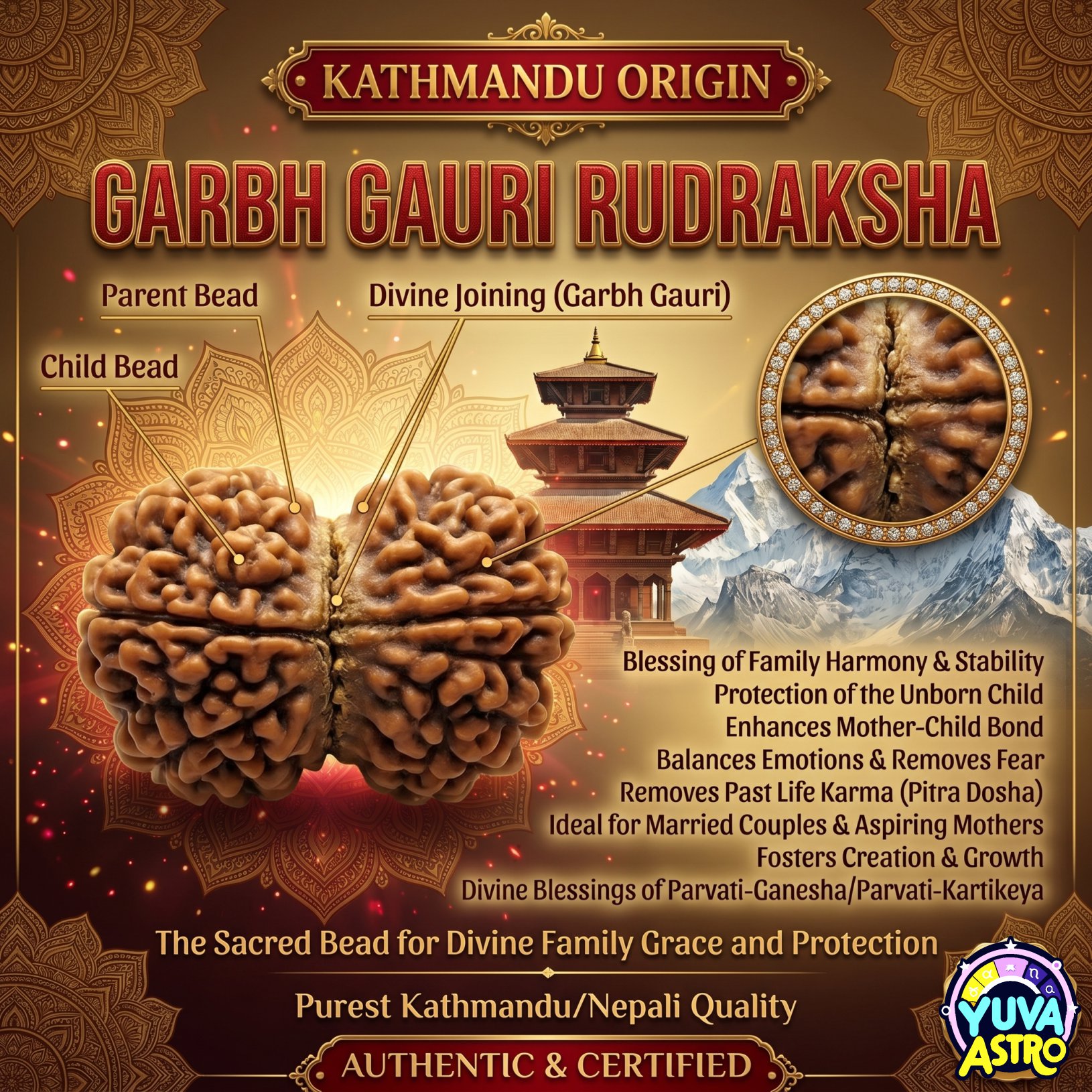 Kathmandu Origin Garbh Gauri Rudraksha