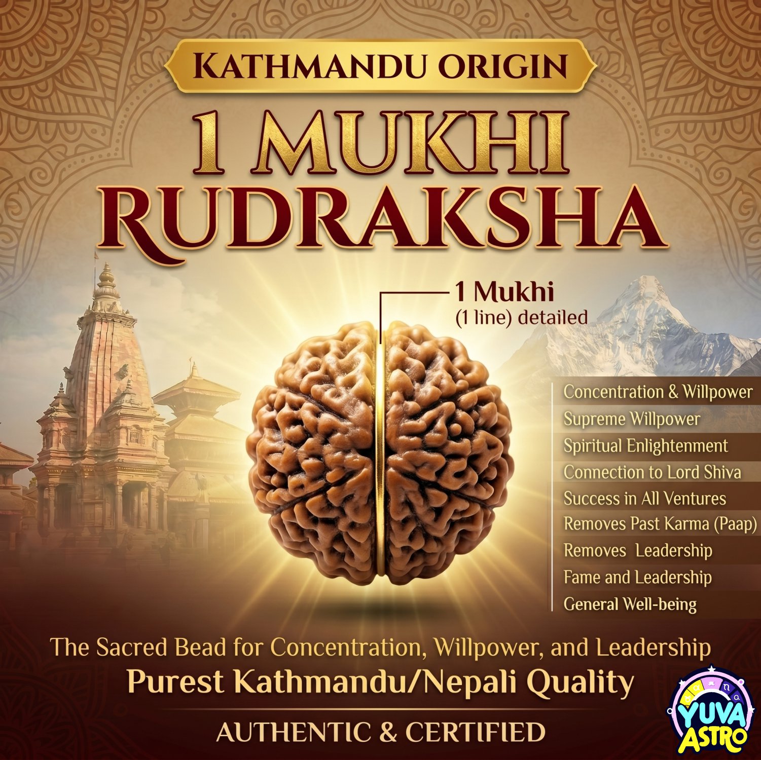 Ek Mukhi Rudraksha