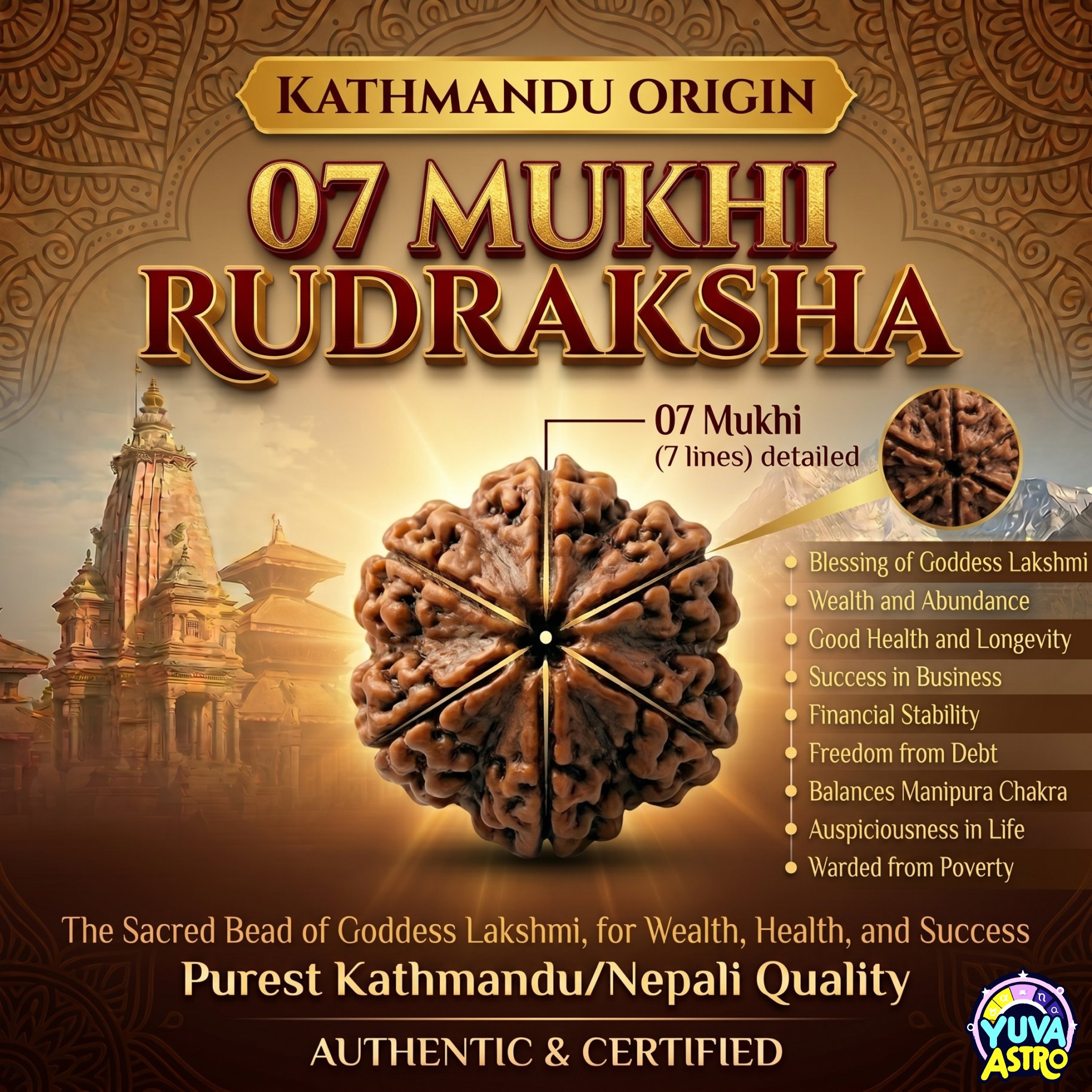Kathmandu Origin 7 Mukhi  Rudraksha