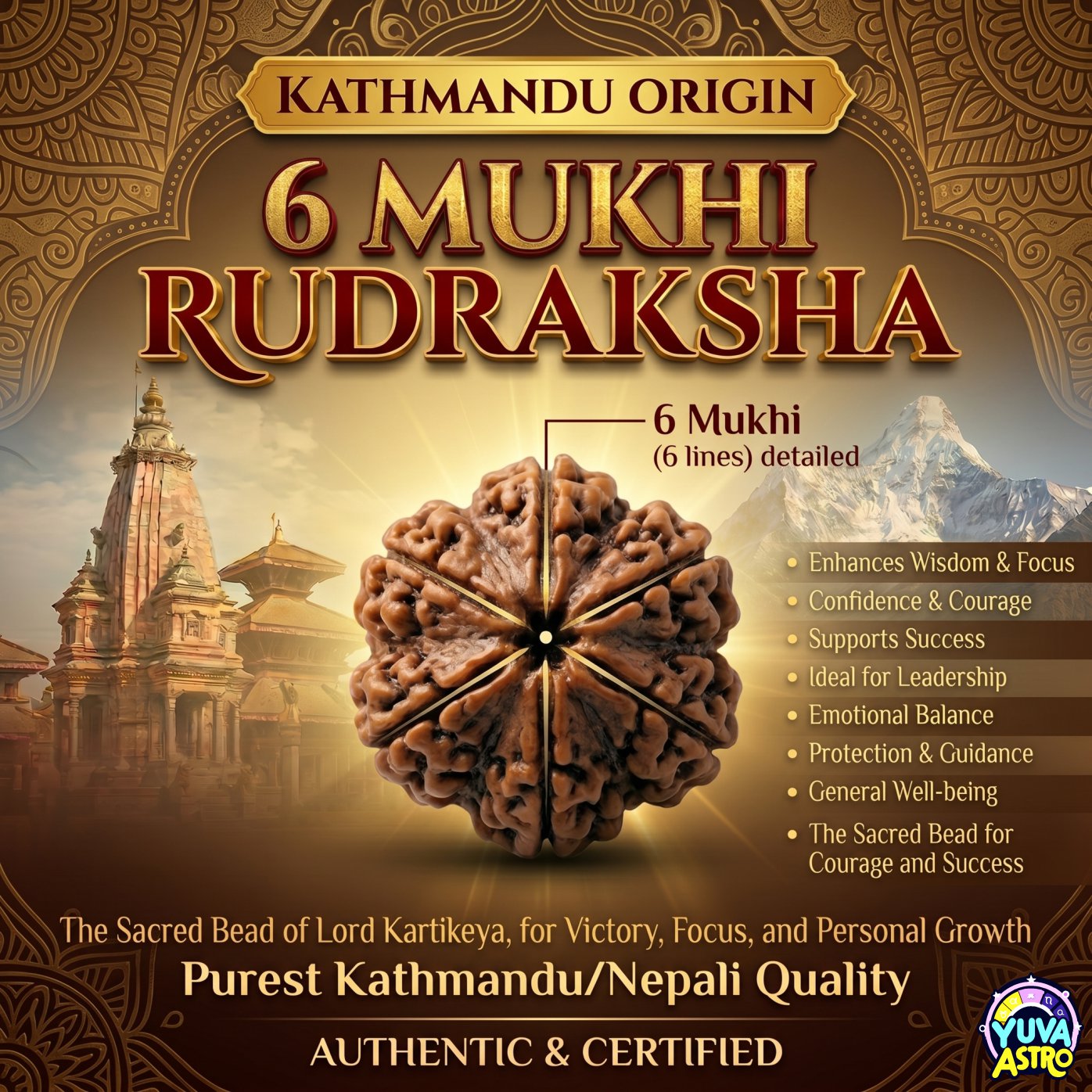 Kathmandu Origin 6 Mukhi Rudraksha