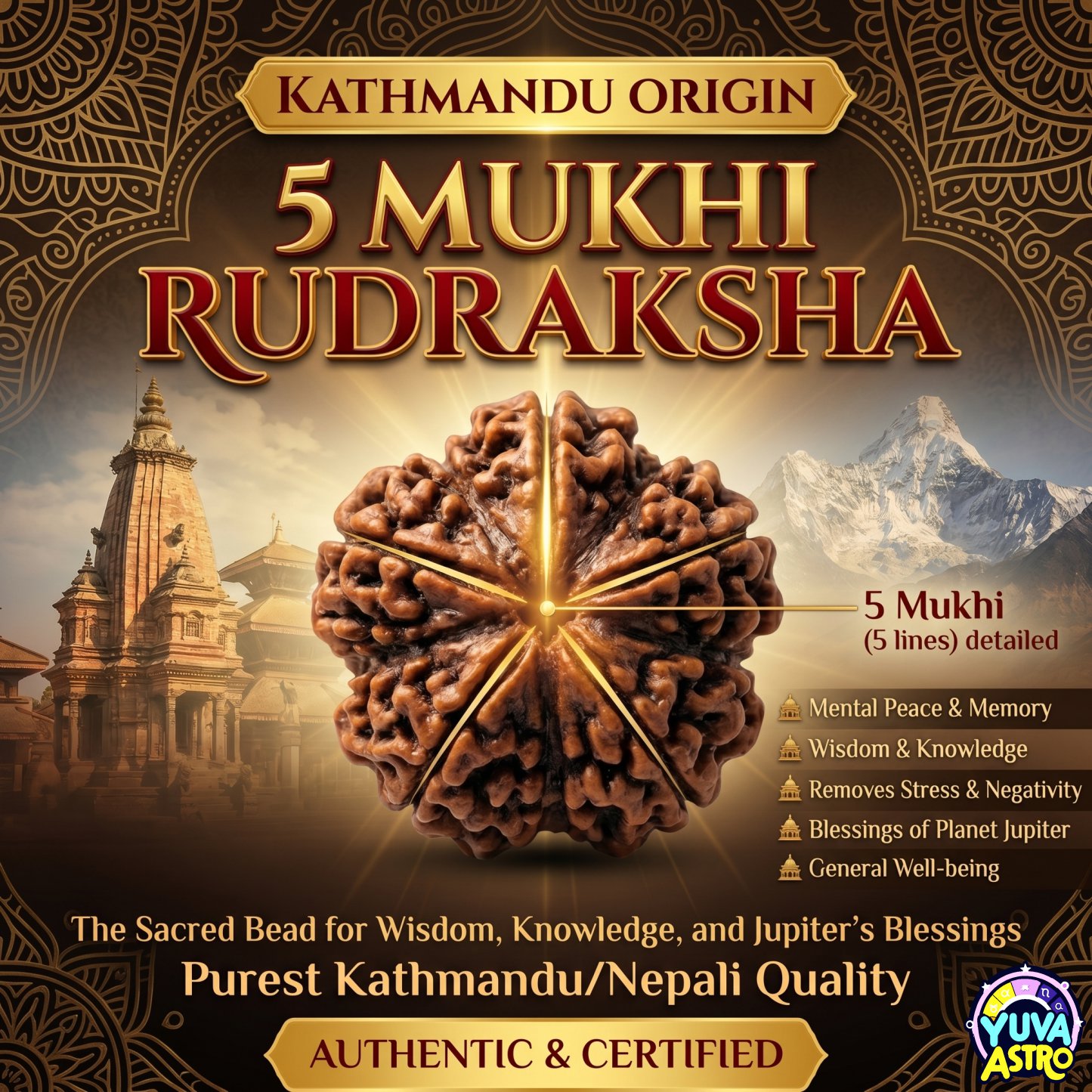 Kathmandu Origin 5 Mukhi Rudraksha